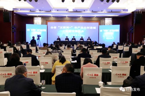 全省互聯網農產品出村進城工程建設推進會在盱眙召開，共筑農產品電商發展新藍圖