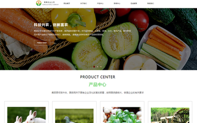 成都農(nóng)產(chǎn)品電商網(wǎng)站建設(shè)的發(fā)展趨勢 邁向智能化、品牌化與體驗化